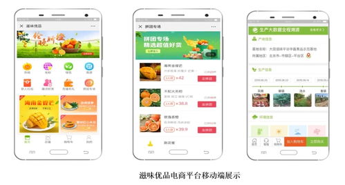 智慧農業新篇章 1.28億元數字化服務，守護農產品安全生命線