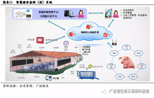 深耕物聯網嵌入式技術，利爾達（832149.OC）如何打造產業鏈一站式服務？