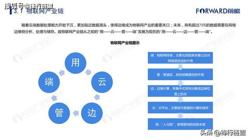 2019年中國物聯網技術服務行業市場研究報告 連接賦能，生態崛起